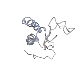 31307_7eu3_M_v1-1
Chloroplast NDH complex