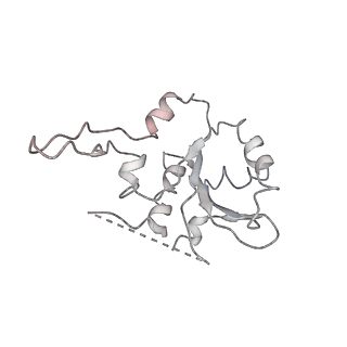 31307_7eu3_N_v1-1
Chloroplast NDH complex