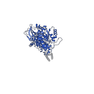 31308_7eu7_A_v1-2
Structure of the human GluN1-GluN2A NMDA receptor in complex with S-ketamine, glycine and glutamate