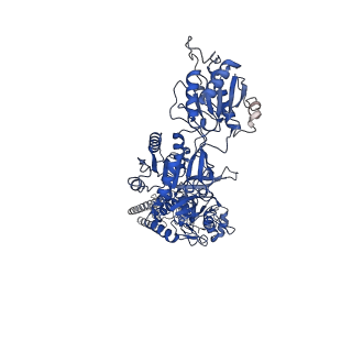 31308_7eu7_B_v1-2
Structure of the human GluN1-GluN2A NMDA receptor in complex with S-ketamine, glycine and glutamate