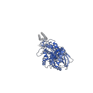 31308_7eu7_C_v1-2
Structure of the human GluN1-GluN2A NMDA receptor in complex with S-ketamine, glycine and glutamate