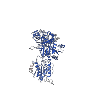 31308_7eu7_D_v1-2
Structure of the human GluN1-GluN2A NMDA receptor in complex with S-ketamine, glycine and glutamate