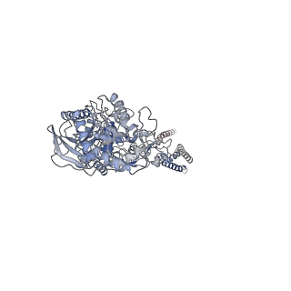 31309_7eu8_A_v1-3
Structure of the human GluN1-GluN2B NMDA receptor in complex with S-ketamine,glycine and glutamate