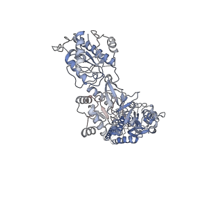 31309_7eu8_B_v1-3
Structure of the human GluN1-GluN2B NMDA receptor in complex with S-ketamine,glycine and glutamate