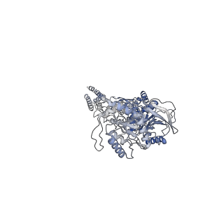 31309_7eu8_C_v1-3
Structure of the human GluN1-GluN2B NMDA receptor in complex with S-ketamine,glycine and glutamate