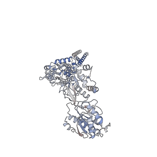 31309_7eu8_D_v1-3
Structure of the human GluN1-GluN2B NMDA receptor in complex with S-ketamine,glycine and glutamate