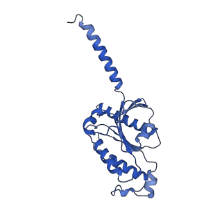 31323_7euo_A_v1-1
The structure of formyl peptide receptor 1 in complex with Gi and peptide agonist fMLF
