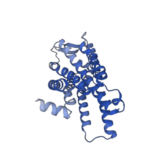 31323_7euo_R_v1-1
The structure of formyl peptide receptor 1 in complex with Gi and peptide agonist fMLF