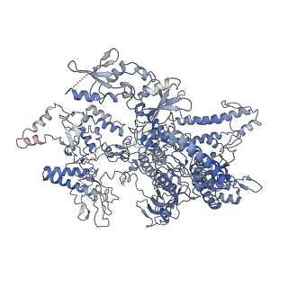 3955_6eu0_A_v1-2
RNA Polymerase III open pre-initiation complex (OC-PIC)