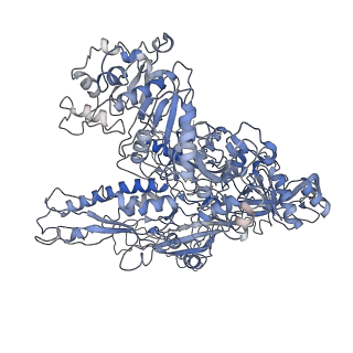 3955_6eu0_B_v1-2
RNA Polymerase III open pre-initiation complex (OC-PIC)