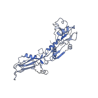 3955_6eu0_C_v1-2
RNA Polymerase III open pre-initiation complex (OC-PIC)