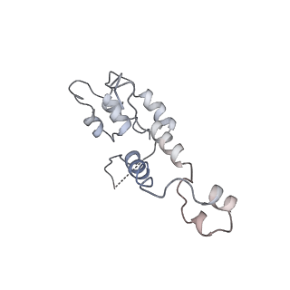3955_6eu0_D_v1-2
RNA Polymerase III open pre-initiation complex (OC-PIC)