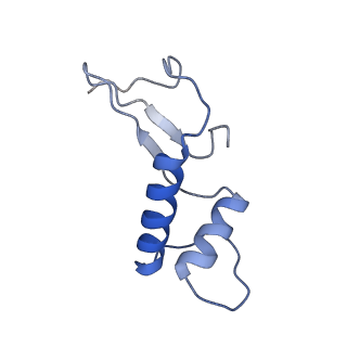 3955_6eu0_F_v1-2
RNA Polymerase III open pre-initiation complex (OC-PIC)