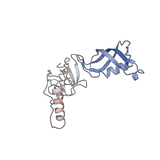 3955_6eu0_G_v1-2
RNA Polymerase III open pre-initiation complex (OC-PIC)