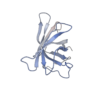 3955_6eu0_H_v1-2
RNA Polymerase III open pre-initiation complex (OC-PIC)