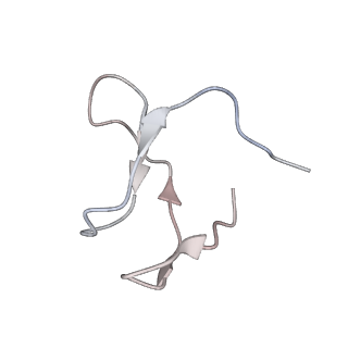 3955_6eu0_I_v1-2
RNA Polymerase III open pre-initiation complex (OC-PIC)
