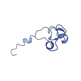 3955_6eu0_J_v1-2
RNA Polymerase III open pre-initiation complex (OC-PIC)