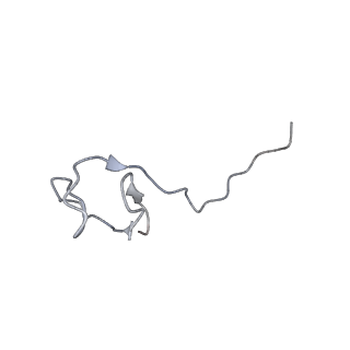 3955_6eu0_L_v1-2
RNA Polymerase III open pre-initiation complex (OC-PIC)