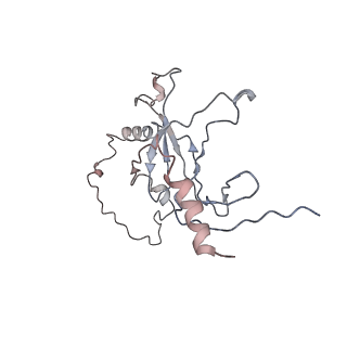 3955_6eu0_M_v1-2
RNA Polymerase III open pre-initiation complex (OC-PIC)
