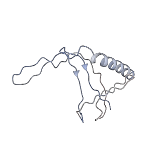 3955_6eu0_N_v1-2
RNA Polymerase III open pre-initiation complex (OC-PIC)