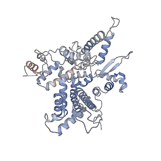 3955_6eu0_O_v1-2
RNA Polymerase III open pre-initiation complex (OC-PIC)