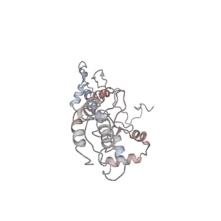 3955_6eu0_P_v1-2
RNA Polymerase III open pre-initiation complex (OC-PIC)