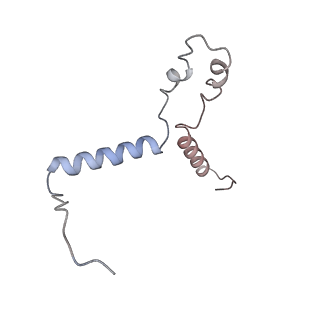 3955_6eu0_Q_v1-2
RNA Polymerase III open pre-initiation complex (OC-PIC)