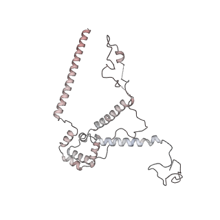 3955_6eu0_V_v1-2
RNA Polymerase III open pre-initiation complex (OC-PIC)