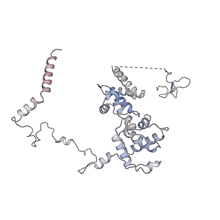 3955_6eu0_Z_v1-2
RNA Polymerase III open pre-initiation complex (OC-PIC)