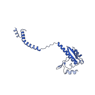 24421_8ev3_3_v1-2
Ytm1 associated 60S nascent ribosome (-Fkbp39) State 1B
