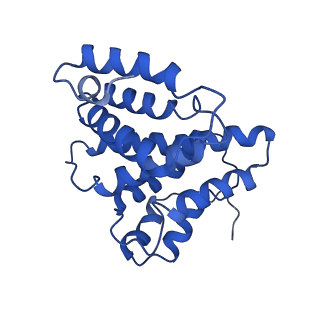 24421_8ev3_4_v1-2
Ytm1 associated 60S nascent ribosome (-Fkbp39) State 1B