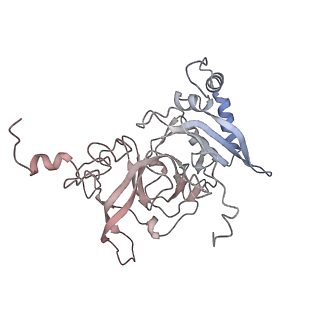24421_8ev3_B_v1-2
Ytm1 associated 60S nascent ribosome (-Fkbp39) State 1B