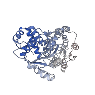 24421_8ev3_D_v1-2
Ytm1 associated 60S nascent ribosome (-Fkbp39) State 1B