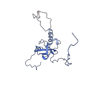 24421_8ev3_E_v1-2
Ytm1 associated 60S nascent ribosome (-Fkbp39) State 1B