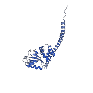 24421_8ev3_F_v1-2
Ytm1 associated 60S nascent ribosome (-Fkbp39) State 1B