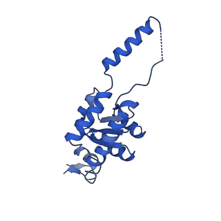 24421_8ev3_G_v1-2
Ytm1 associated 60S nascent ribosome (-Fkbp39) State 1B