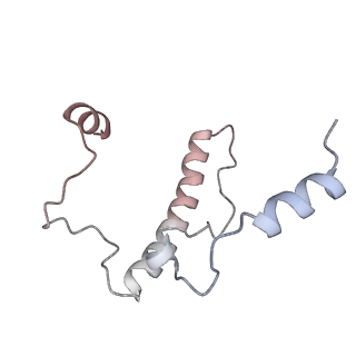 24421_8ev3_J_v1-2
Ytm1 associated 60S nascent ribosome (-Fkbp39) State 1B