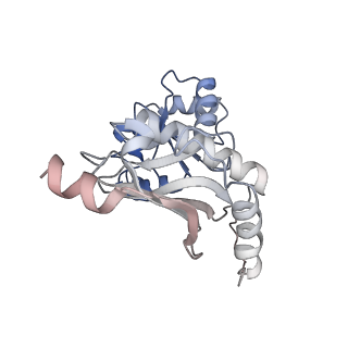 24421_8ev3_K_v1-2
Ytm1 associated 60S nascent ribosome (-Fkbp39) State 1B