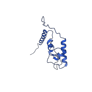 24421_8ev3_L_v1-2
Ytm1 associated 60S nascent ribosome (-Fkbp39) State 1B
