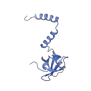24421_8ev3_M_v1-2
Ytm1 associated 60S nascent ribosome (-Fkbp39) State 1B