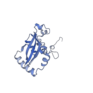 24421_8ev3_N_v1-2
Ytm1 associated 60S nascent ribosome (-Fkbp39) State 1B