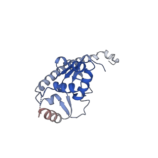 24421_8ev3_O_v1-2
Ytm1 associated 60S nascent ribosome (-Fkbp39) State 1B