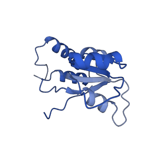 24421_8ev3_Q_v1-2
Ytm1 associated 60S nascent ribosome (-Fkbp39) State 1B
