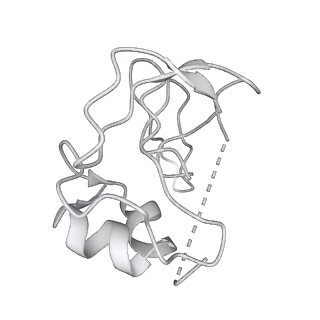 24421_8ev3_V_v1-2
Ytm1 associated 60S nascent ribosome (-Fkbp39) State 1B
