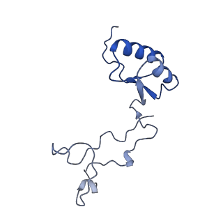 24421_8ev3_e_v1-2
Ytm1 associated 60S nascent ribosome (-Fkbp39) State 1B