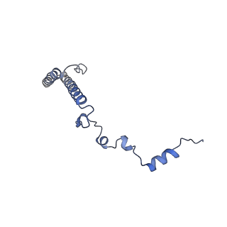 24421_8ev3_h_v1-2
Ytm1 associated 60S nascent ribosome (-Fkbp39) State 1B