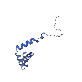 24421_8ev3_i_v1-2
Ytm1 associated 60S nascent ribosome (-Fkbp39) State 1B