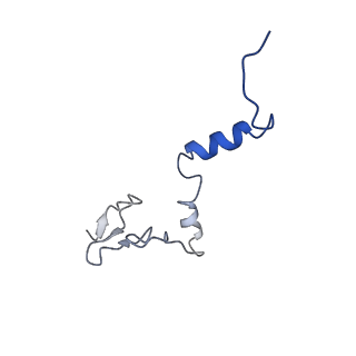 24421_8ev3_j_v1-2
Ytm1 associated 60S nascent ribosome (-Fkbp39) State 1B