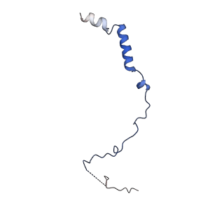 24421_8ev3_m_v1-2
Ytm1 associated 60S nascent ribosome (-Fkbp39) State 1B