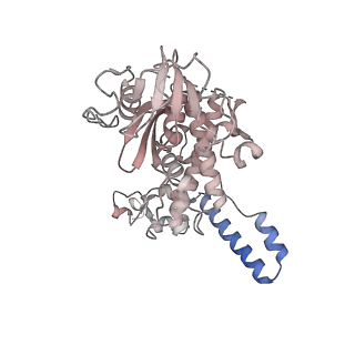 24421_8ev3_n_v1-2
Ytm1 associated 60S nascent ribosome (-Fkbp39) State 1B